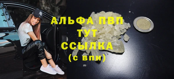 индика Баксан