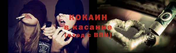 индика Баксан