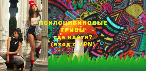 индика Баксан