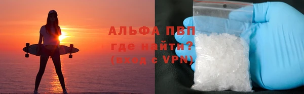 индика Баксан