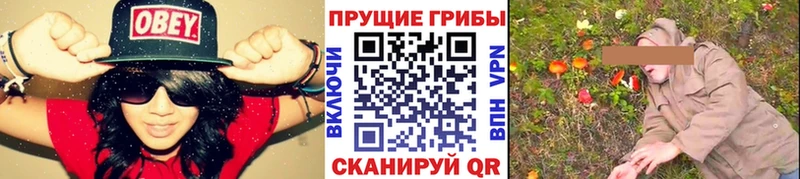 Галлюциногенные грибы мухоморы  что такое   Отрадная 